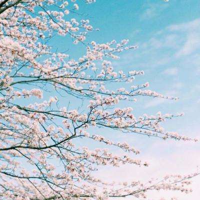 B体育登录入口APP下载